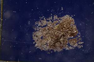 Cross Polarized, E6012