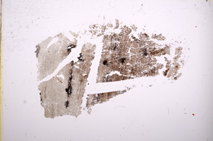 Plane Polarized, E6014