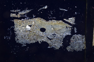 Cross Polarized, E6015