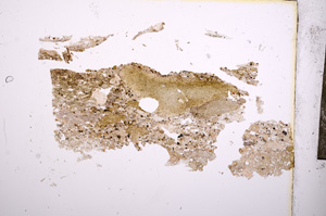 Plane Polarized, E6015