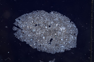 Cross Polarized, E6018