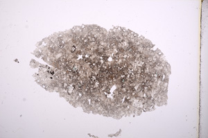 Plane Polarized, E6018