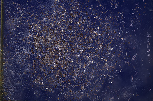 Cross Polarized, E6021