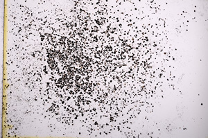 Plane Polarized, E6021