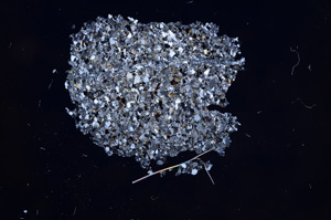 Cross Polarized, E6024