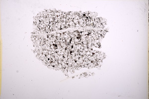 Plane Polarized, E6024