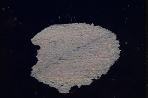 Cross Polarized, E6185