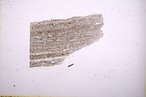 Plane Polarized, E6232