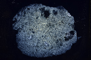 Cross Polarized, E6233