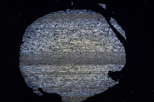 Cross Polarized, E6243