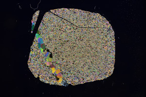 Cross Polarized, E6248