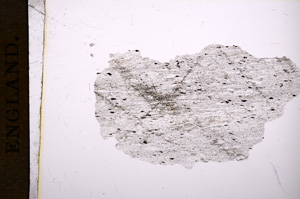 Plane Polarized, E6373