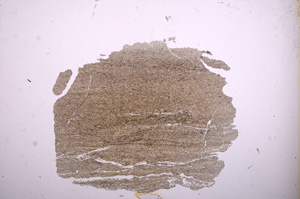 Plane Polarized, E6379