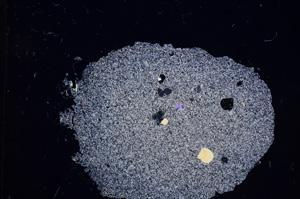 Cross Polarized, E6479