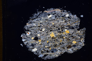 Cross Polarized, E6483