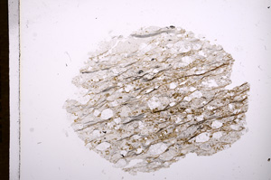 Plane Polarized, E6483