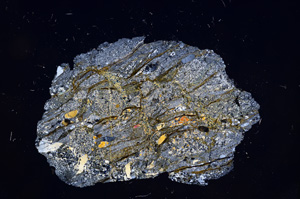 Cross Polarized, E6484