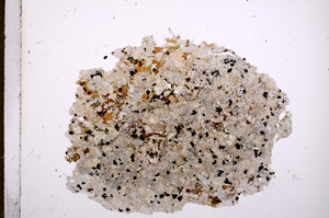 Plane Polarized, E6496