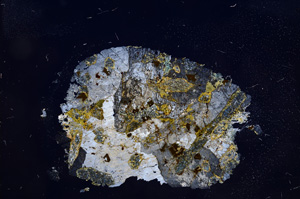 Cross Polarized, E6500