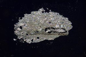 Cross Polarized, E6510