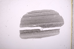 Plane Polarized, E6526