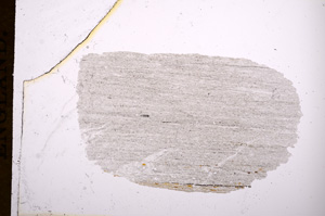 Plane Polarized, E6527