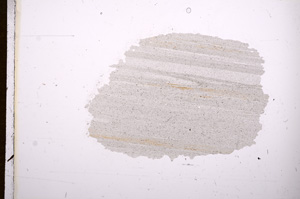 Plane Polarized, E6528
