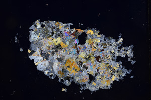 Cross Polarized, E6573