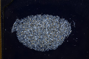 Cross Polarized, E6597