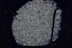 Cross Polarized, E6603