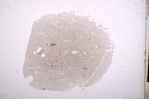 Plane Polarized, E6611