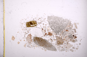 Plane Polarized, E6643