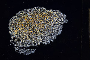 Cross Polarized, E6649