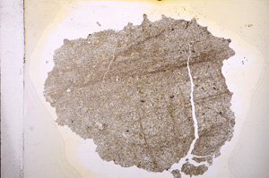 Plane Polarized, E6688