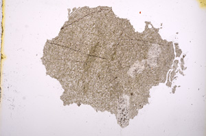 Plane Polarized, E6694