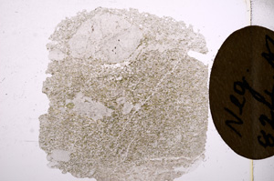 Plane Polarized, E6720