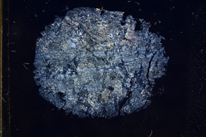 Cross Polarized, E6739
