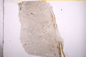 Plane Polarized, E6784