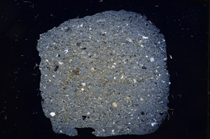 Cross Polarized, E6788