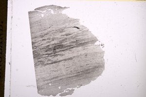 Plane Polarized, E6792
