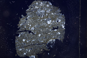 Cross Polarized, E6798