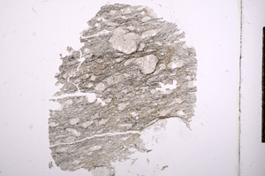 Plane Polarized, E6798