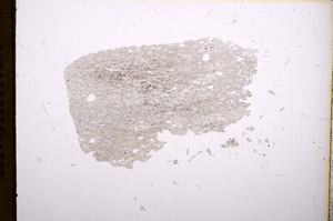 Plane Polarized, E6834