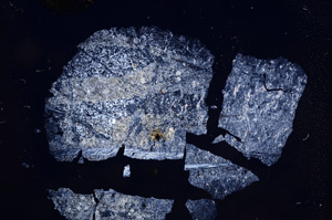 Cross Polarized, E6838