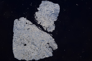 Cross Polarized, E6846