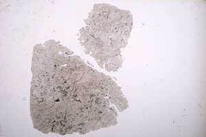 Plane Polarized, E6846