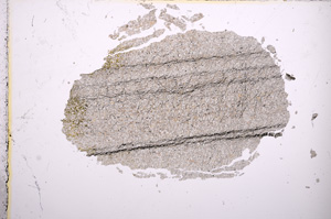 Plane Polarized, E6853