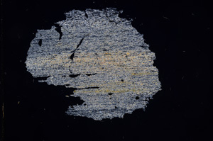 Cross Polarized, E6854