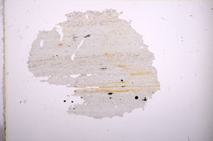 Plane Polarized, E6854