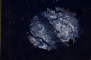 Cross Polarized, E6856